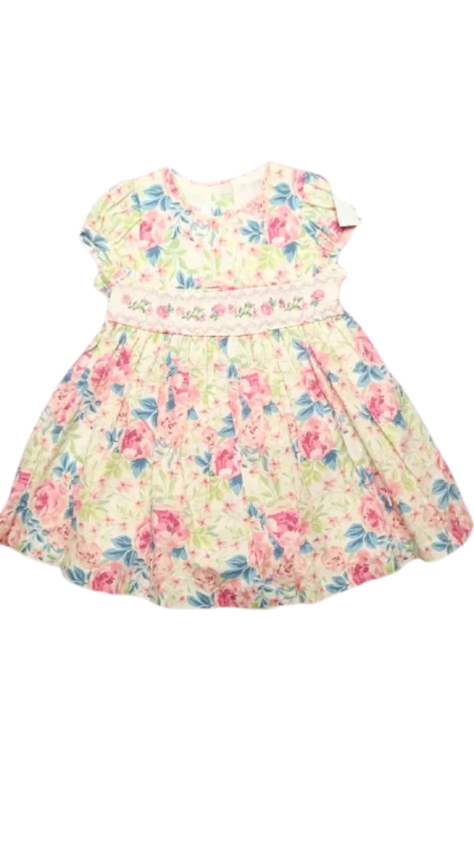 Ronnie Baby New Cute Printed half Sleeve Princess Dress Summer Baby Girl Dress Big Bow Baby Girl Dress baby girl clothes