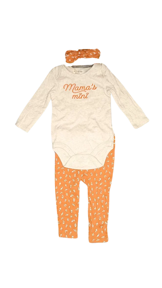 Rabbit+bear 3Pcs Baby Girl Outfits Daisy Sweatshirt + Pants + Headband Infant Fall Winter Clothes